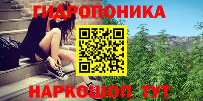 ПСИЛОЦИБИНОВЫЕ ГРИБЫ Янаул