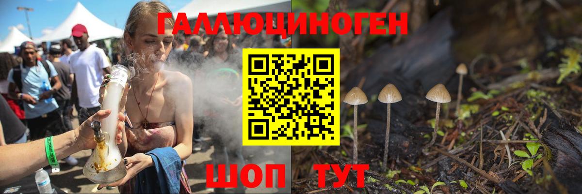 Галлюциногенные грибы Cubensis Воскресенск